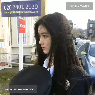 凤鲁庄
